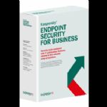 KASPERSKY ENDPOINT SECURITY FOR BUSINESS - CORE TURKEY EDITION. 15 NODE 1 YEAR CROSS-GRADE LICENSE